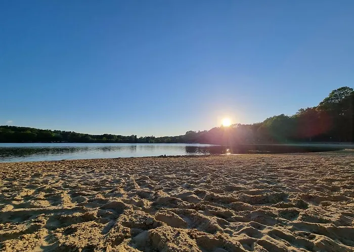 בית הארחה La Tiny Proche Et Foret Sillé-le-Guillaume