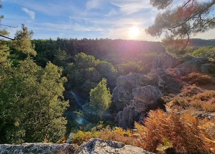 La Tiny Proche Et Foret